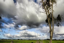 蓝鲸体育直播：江苏女子手球队摘得中国手球超级联赛总冠军.