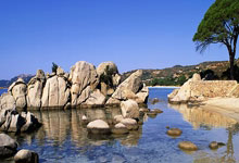 太震撼纽卡夺冠游行30万人挤满街道，庆祝球队时隔70年夺冠.